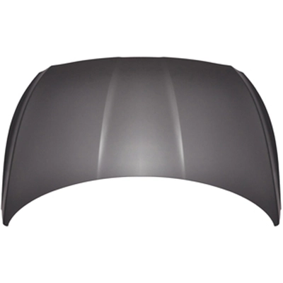 SHERMAN PARTS - 3192AA-28Q-0 - Hood Panel pa1