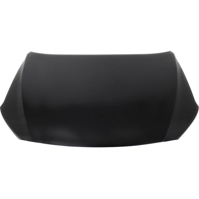 Hood Panel Assembly by SHERMAN PARTS - 3194B-28AQ-0 pa1