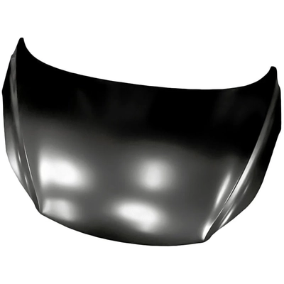 Hood Panel Assembly by SHERMAN PARTS - 3194BA-28Q-0 pa1