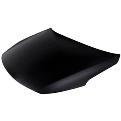 Hood Panel Assembly by SHERMAN PARTS - 3246AA-28-0 pa1