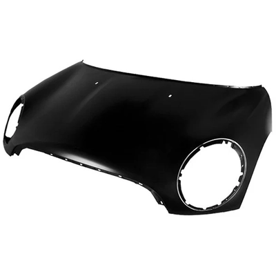 Hood Panel Assembly by SHERMAN PARTS - 3602-28Q-0 pa1
