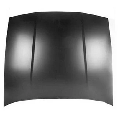 Hood Panel Assembly by SHERMAN PARTS - 547-28U pa1