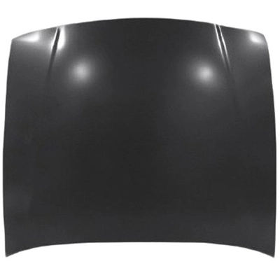Hood Panel Assembly by SHERMAN PARTS - 548-28 pa1