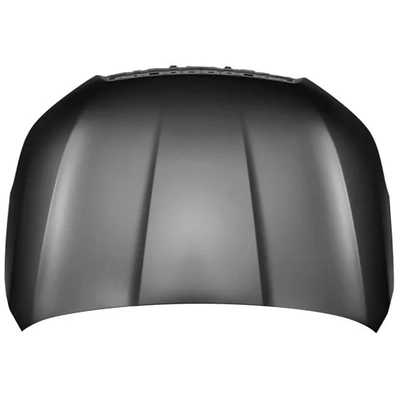 Hood Panel Assembly by SHERMAN PARTS - 6720-28Q-0 pa1