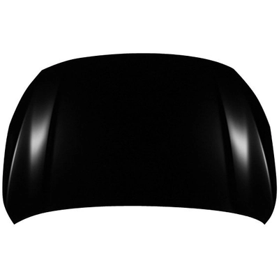 Hood Panel Assembly by SHERMAN PARTS - 6728-28Q-0 pa1
