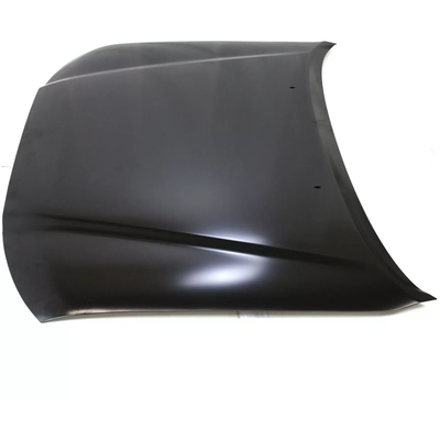 Hood Panel Assembly by SHERMAN PARTS - 8125-28Q-0 pa2
