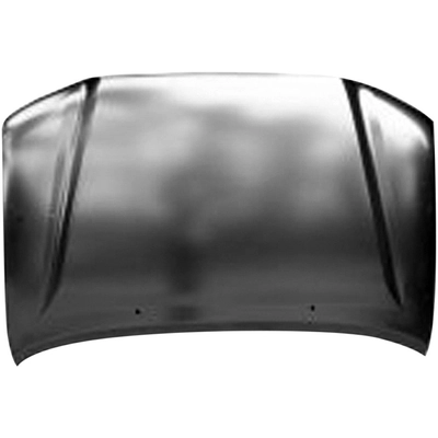 Hood Panel Assembly by SHERMAN PARTS - 8125B-28-0 pa1