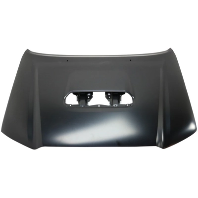 SHERMAN PARTS - 8125B-28Q-0 - Hood pa1
