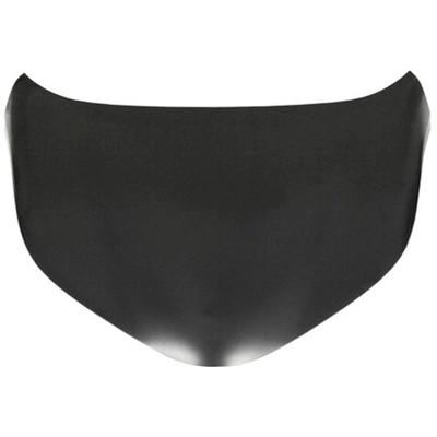 Hood Panel Assembly by SHERMAN PARTS - 8133-28Q-0 pa2