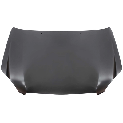Hood Panel Assembly by SHERMAN PARTS - 8175-28Q-0 pa1
