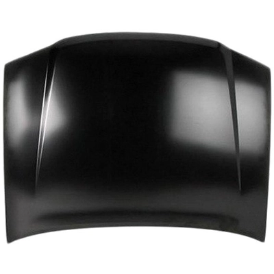 SHERMAN PARTS - 907-28Q - Hood Panel pa1
