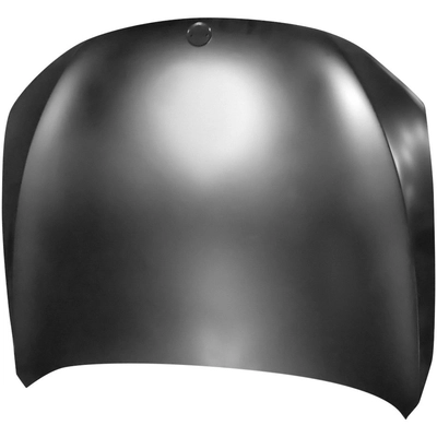 Hood Panel Assembly by SHERMAN PARTS - BM740I09-28-0 pa1