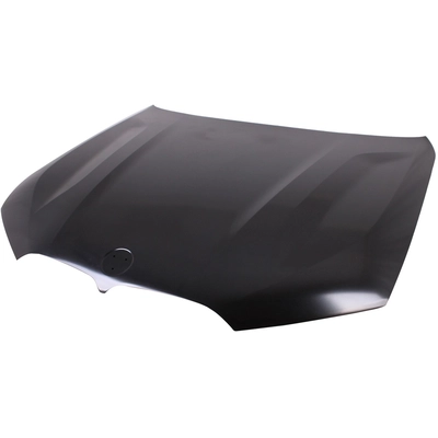 Hood Panel Assembly by SHERMAN PARTS - BMX519-28Q-0 pa1