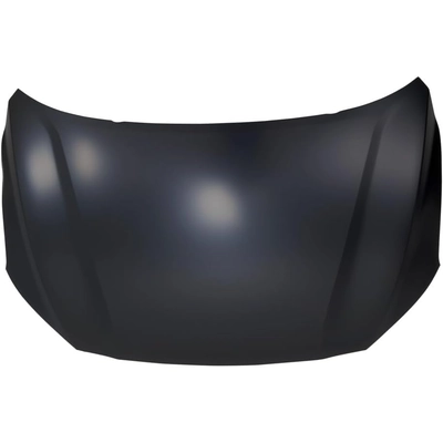 Hood Panel Assembly by SHERMAN PARTS - HYKONA18-28-0 pa1