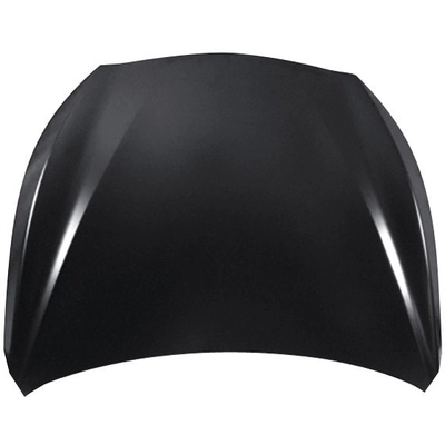 Hood Panel Assembly by SHERMAN PARTS - INQ5014-28Q-0 pa1