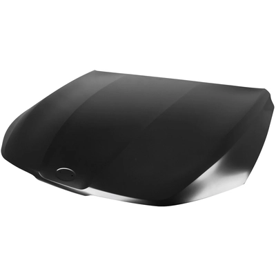 Hood Panel Assembly by SHERMAN PARTS - KIK521-28Q-0 pa1