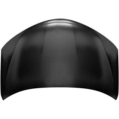 Hood Panel Assembly by SHERMAN PARTS - LXNX3015-28Q-0 pa4