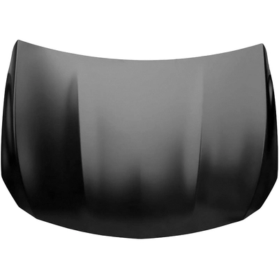 Hood Panel Assembly by SHERMAN PARTS - MBGLA215-28Q-0 pa1