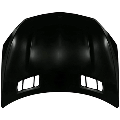 Hood Panel Assembly by SHERMAN PARTS - MBGLE316B-28-0 pa1