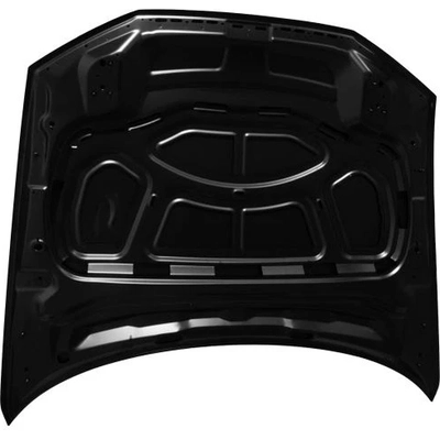 Hood Panel Assembly by SHERMAN PARTS - NIPATH22A-28-0 pa5