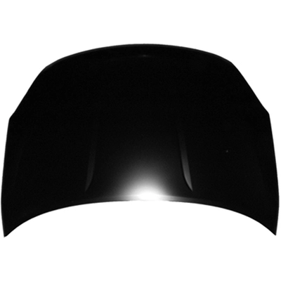Hood Panel Assembly by SHERMAN PARTS - NIROGU14-28Q-0 pa1