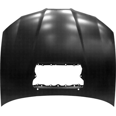 Hood Panel Assembly - SU1230139 pa1