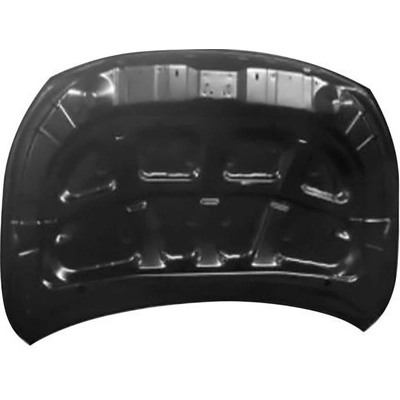 Hood Panel Assembly - SU1230147 pa2