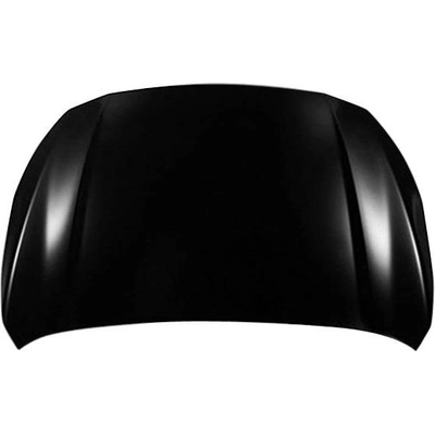 Hood Panel Assembly - SU1230150 pa1