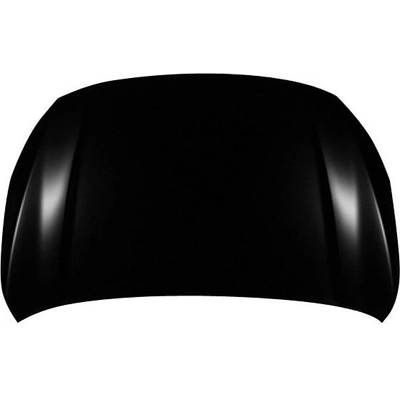 Hood Panel Assembly - SU1230153 pa1