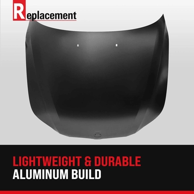 Hood Panel Assembly - TO1230198C pa1
