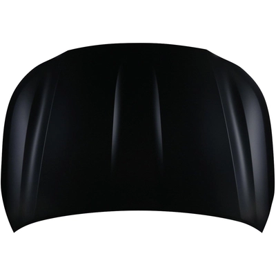 Hood Panel Assembly - TO1230258C pa1