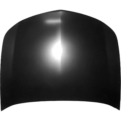 Hood Panel Assembly - AC1230117C pa1