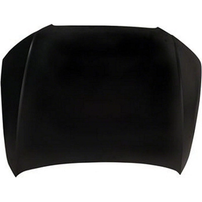Hood Panel Assembly - AU1230116 pa1