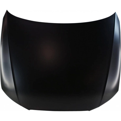 Hood Panel Assembly - AU1230116C pa1