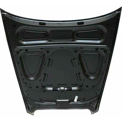 Hood Panel Assembly - AU1230117 pa1