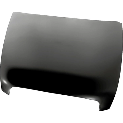 Hood Panel Assembly - AU1230118 pa1