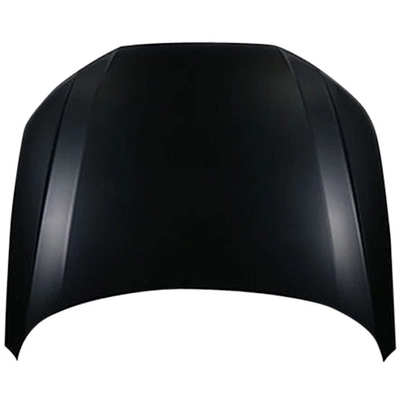 Hood Panel Assembly - AU1230130C pa1