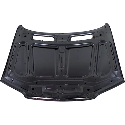 Hood Panel Assembly - BM1230114 pa2