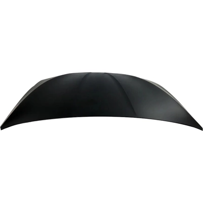 Hood Panel Assembly - BM1230130 pa2