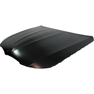 Hood Panel Assembly - BM1230132 pa1
