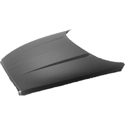 Hood Panel Assembly - CH1230240C pa1