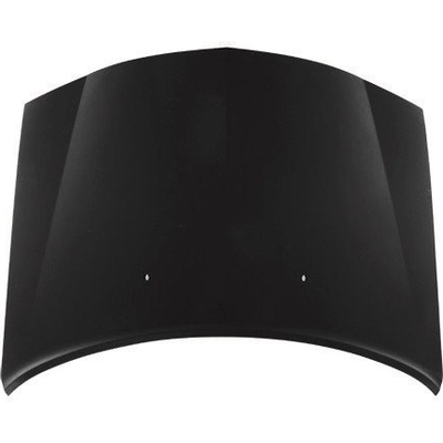 Hood Panel Assembly - CH1230243C pa1