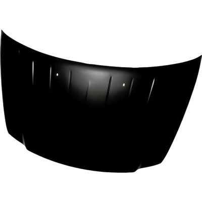 Hood Panel Assembly - CH1230252 pa1