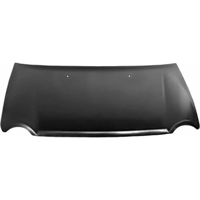 Hood Panel Assembly - CH1230253 pa1
