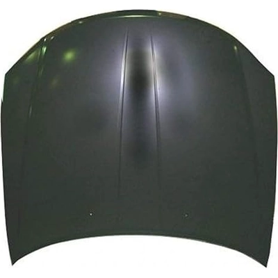 Hood Panel Assembly - CH1230271 pa1
