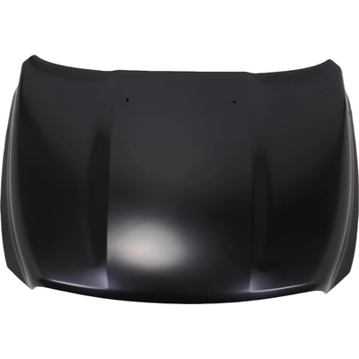 Hood Panel Assembly - CH1230275 pa2