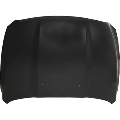 Hood Panel Assembly - CH1230275C pa1