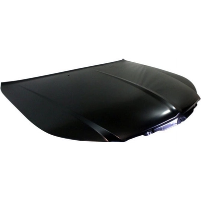 Hood Panel Assembly - CH1230280 pa1