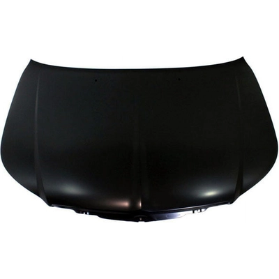 Hood Panel Assembly - CH1230280 pa2