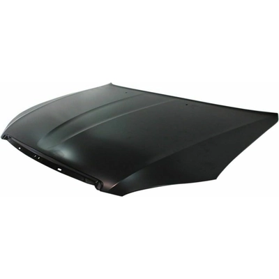 Hood Panel Assembly - CH1230290 pa1